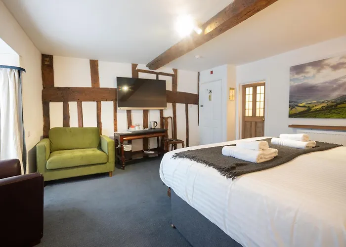 Without A Paddle Hotel
